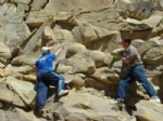 DINOZOR - Çeçenistan’da Dinozor Yumurtası Fosilleri Bulundu