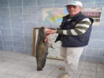 Enez’de 15 Kg’lık Yayın Yakalandı