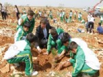 CEMALETTIN ÖZDEMIR - Gaziantep'te 47 Bin Fidan Toprakla Buluştu