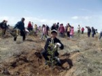 ALI ÇETIN - Yurtta Kalan Çocuklar Yüzlerce Fidanı Toprakla Buluşturdu