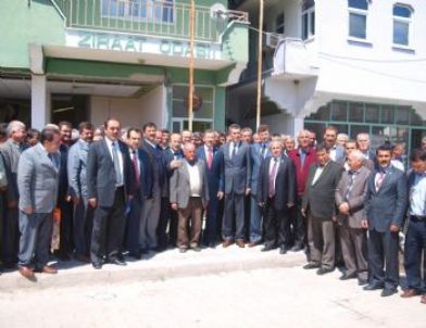 Selendi'de 6 Bin Meyve Fidanı Dağıtıldı