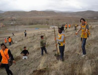 Akmezar Köyü Ağaçlandırıldı
