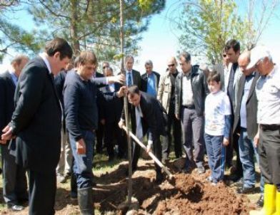 Diyarbakır'da 500 Fidan Toprakla Buluştu