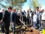Diyarbakır'da 500 Fidan Toprakla Buluştu