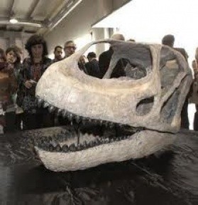 Dev dinozor fosili bulundu