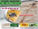 ANTROPOLOJI - Bursa'ya damga vuran fosil sergisi