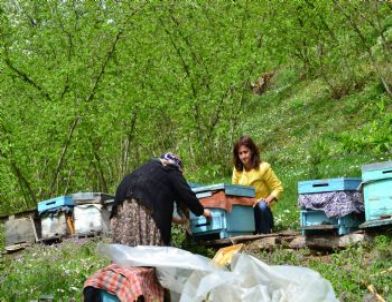 Dagem Düzce İli’nde Arıcılık Veri Tabanını Oluşturuyor