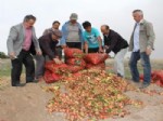 HÜSEYIN KAYA - Üreticiler: 'Soğanlarımızı Çöpe Dökeceğiz'