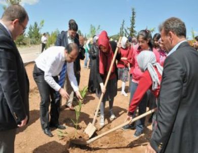 Başkan Çiftçi Öğrencilerle Birlikte Fidan Dikti