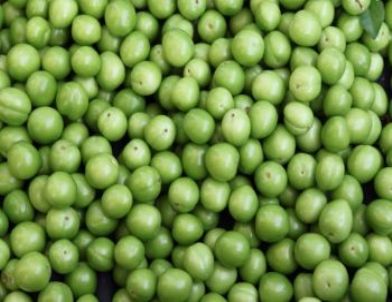 300 Tl'den 3 Tl'ye Düşen Can Eriğini Dar Gelirli Vatandaş Da Yiyebilecek