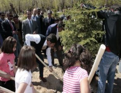 Erzincan’da Ağaç Dikme Şenliği