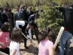 Erzincan’da Ağaç Dikme Şenliği