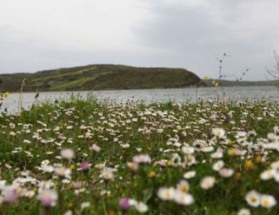Terkos Gölü'nde Renk Cümbüşü
