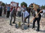 Toroslar’a 500 Fidan Dikildi