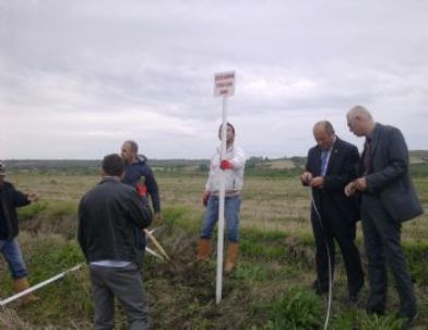 Uzunköprü’nün 500 Metre Yakınına Çeltik Ekmek Yasak