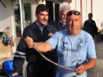 DEĞIRMENBAŞı - Taksiye Giren Yılan, İtfaiye Ekipleri Tarafından Çıkartıldı