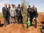 Vali Mustafa Toprak, Dü Kampüsünde Fidan Dikti