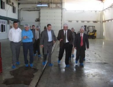 Akhisar Kaymakamı Köten, Gıda İş Yerilerini İnceledi