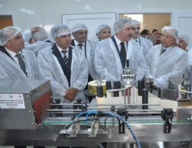 Sancaklı Köyü Arı Ürünleri Tesisi Açıldı