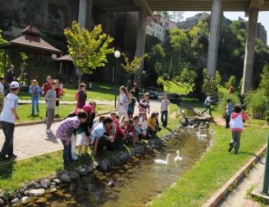 Zağnos Cıvıl Cıvıl