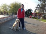 HAYVAN SEVERLER - 14 Aydır Kayıp Olan Köpeğini Bulana Ödül Verecek