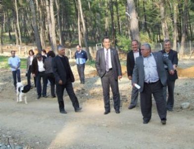 Başkan Yılmaz ve Meclis Üyelerindan Hayvan Barınağına Ziyaret