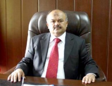 Ormanlar 'Güneş' İle Aydınlanacak