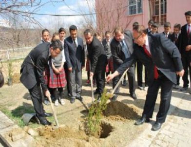 Pazarlar'da Ağaçlandırma Seferberliği