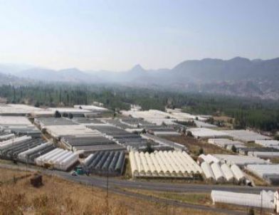 Sulama Suyu Sorunu Simavlı Seracıyı Üretimden Soğuttu