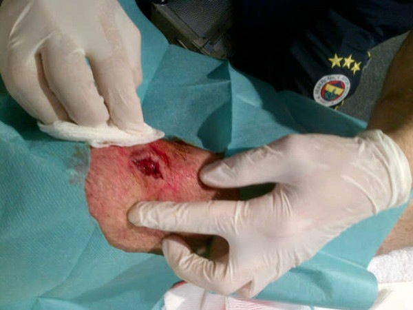 'Merak Edenler Icin Dizim...! '