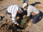 YAKUP ÇELIK - Polatlı Kent Konseyi Fidan Dikti - Ankara