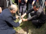 FATIH KADIROĞLU - Vergi Dairesi Müdürlüğü 100 Ağaç Fidanı Dikti