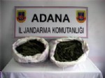 Adana'da 15 Kilo Esrar Ele Geçirildi