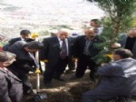 NOHUTLU - Vali Şentürk: Ağaçlandırmaya Çok Önem Veriyoruz