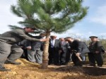 SU KAYAĞI - Cumhurbaşkanı Abdullah Gül, Kocaeli'nde Ağaç Dikti