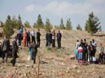 FATIH AKKAYA - Midyat'ta 3 Bin Fidan Toprakla Buluştu