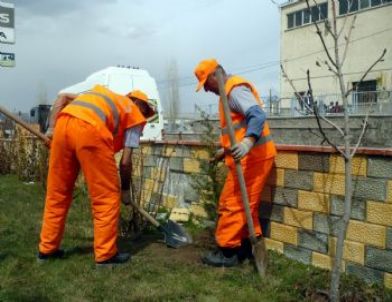 Organize Yeşillendi