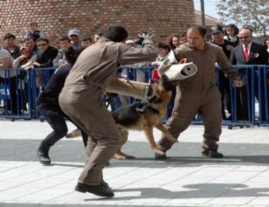 Polis Köpeklerinin Gösterisi Nefes Kesti