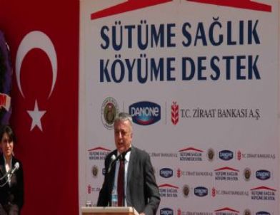 Susuzmüsellim Köyünde Sütevi Açılışı Yapıldı