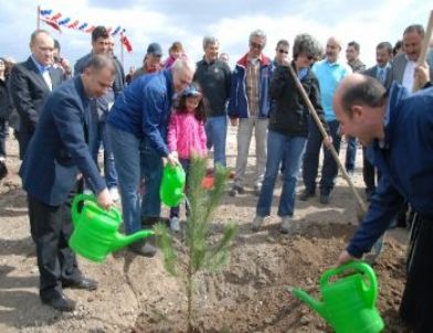 ABD Büyükelçisi Ricciardone, Kazan'da Fidan Dikti - Ankara