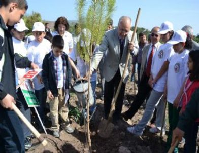 Yetiştirme Yurdu Çocukları Hatıra Ormanına Fidan Dikti