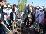 İBRAHIM DAŞÖZ - Yetiştirme Yurdu Çocukları Hatıra Ormanına Fidan Dikti