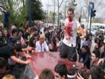ZOMBIE - Zombiler İstanbulluları Korkuttu