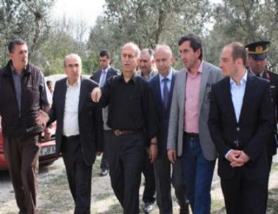 Dağyenice Teşvik Kapsamına Alındı