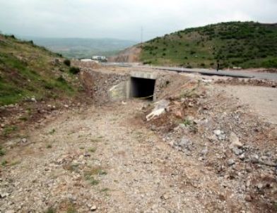 Çoban, Lav Silahı Buldu