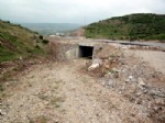 Çoban, Lav Silahı Buldu