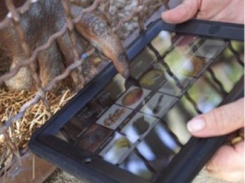 Onlarda iPad Kullanıyor!