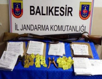 Jandarmanın 'Mavi Vurgun' Operasyonunda 24 Şüpheli Tutuklandı