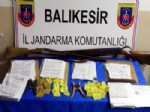 CELEP - Jandarmanın 'Mavi Vurgun' Operasyonunda 24 Şüpheli Tutuklandı
