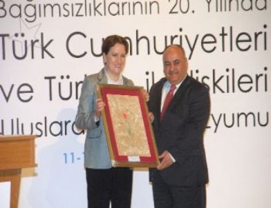 Türkiye'nin Türk Cumhuriyetleri İle İlişkisi İstanbul'da Masaya Yatırılıyor